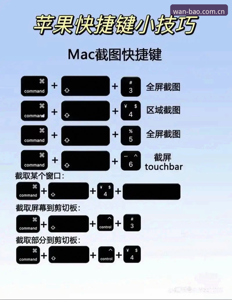 博万官方平台实用指南：从入门到精通的关键技巧